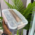BIG LUNCH BOX