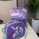 3 IN 1 BOX BAG
